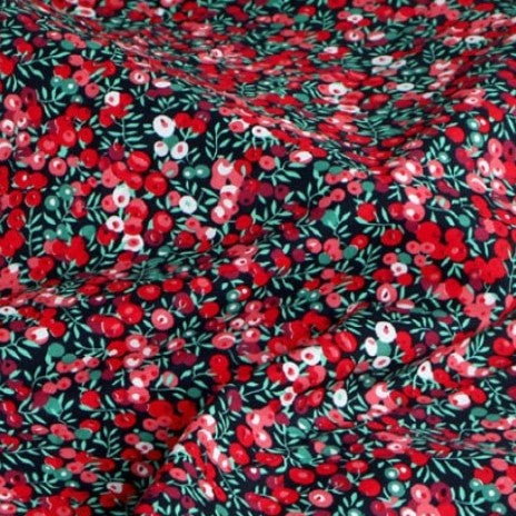 A0010 - groseilles de Noël