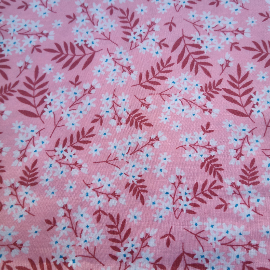 C0016 - p'ti palmier rose