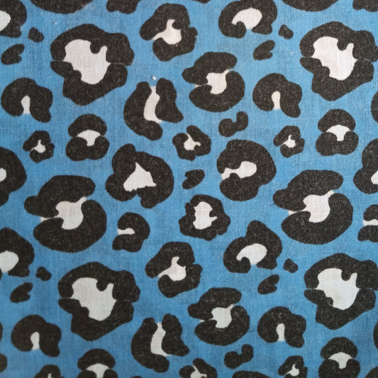 C0061 - p'ti graou bleu