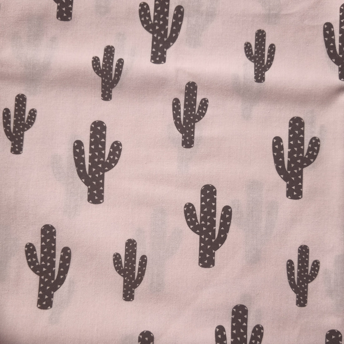 C0081 - p'ti cactus rose